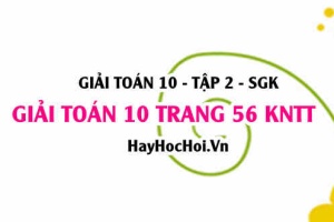 Giải Toán 10 trang 56 tập 2 Kết nối tri thức